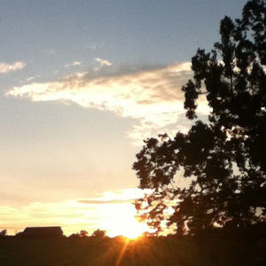 Meet your Posher, Jude